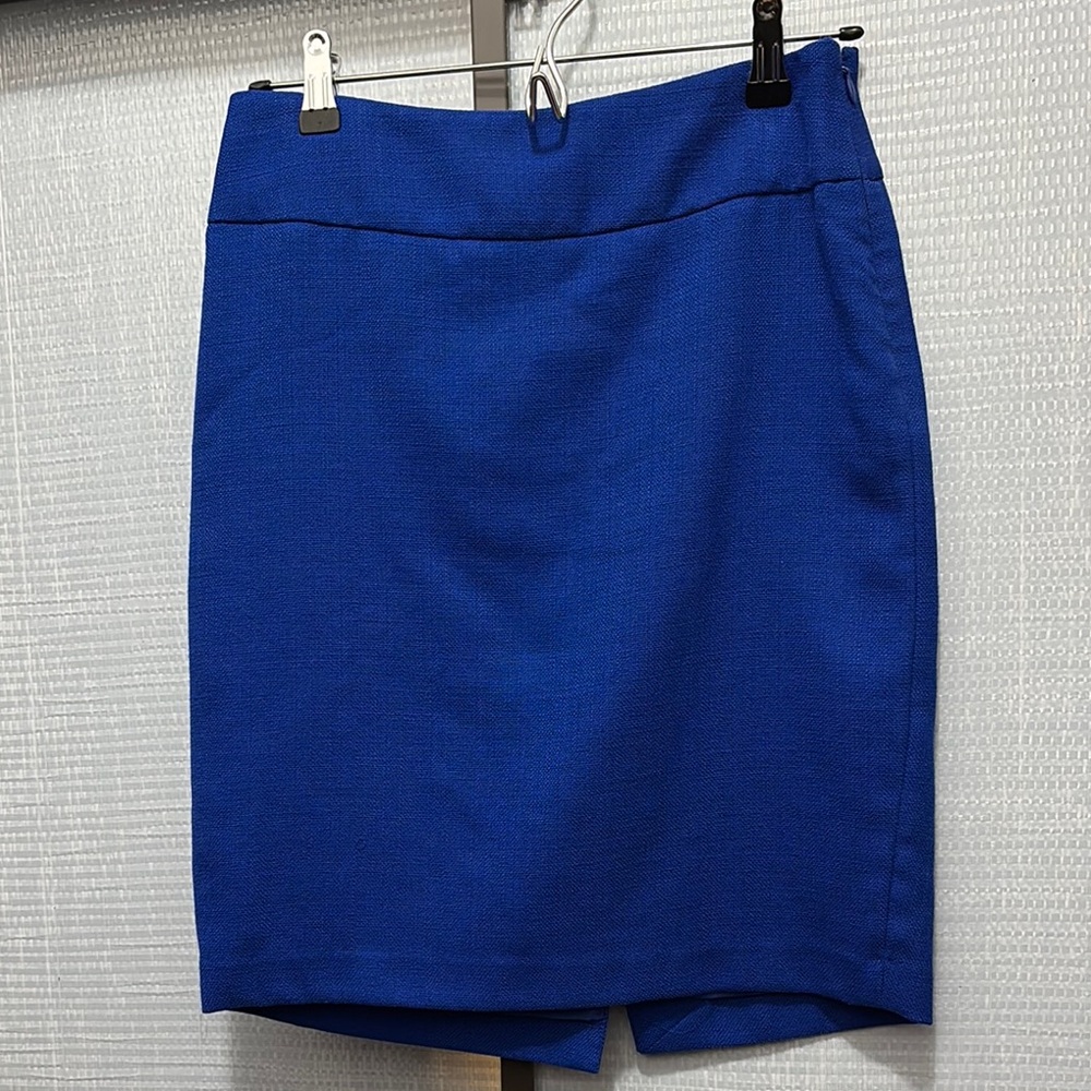 Elegant Blue Women's Skirt